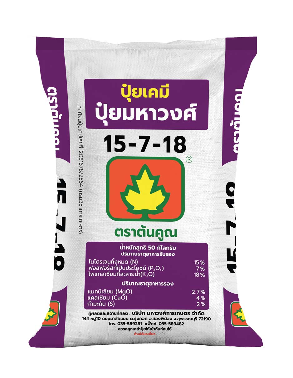 ต้นคูณ 15-7-18