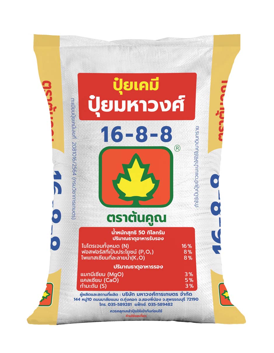 ต้นคูณ 16-8-8