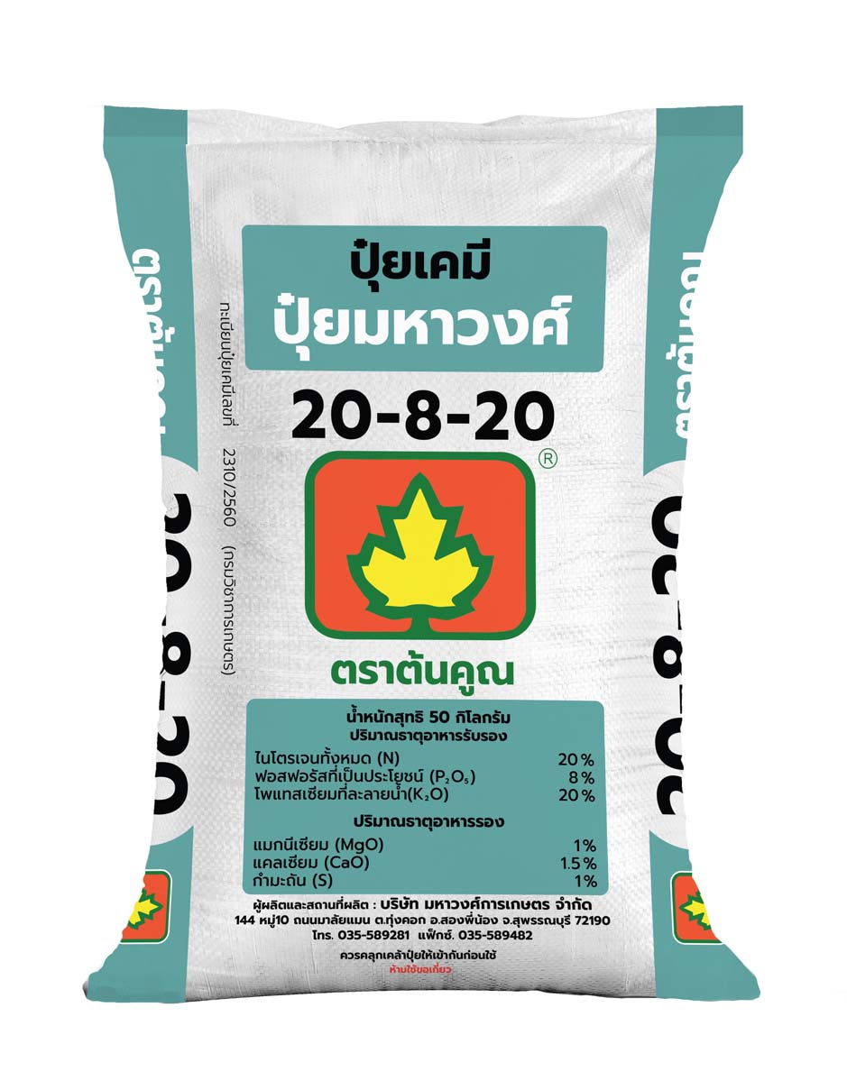 ต้นคูณ 20-8-20