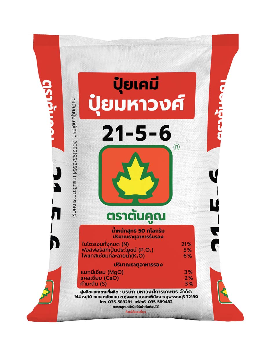 ต้นคูณ 21-5-6