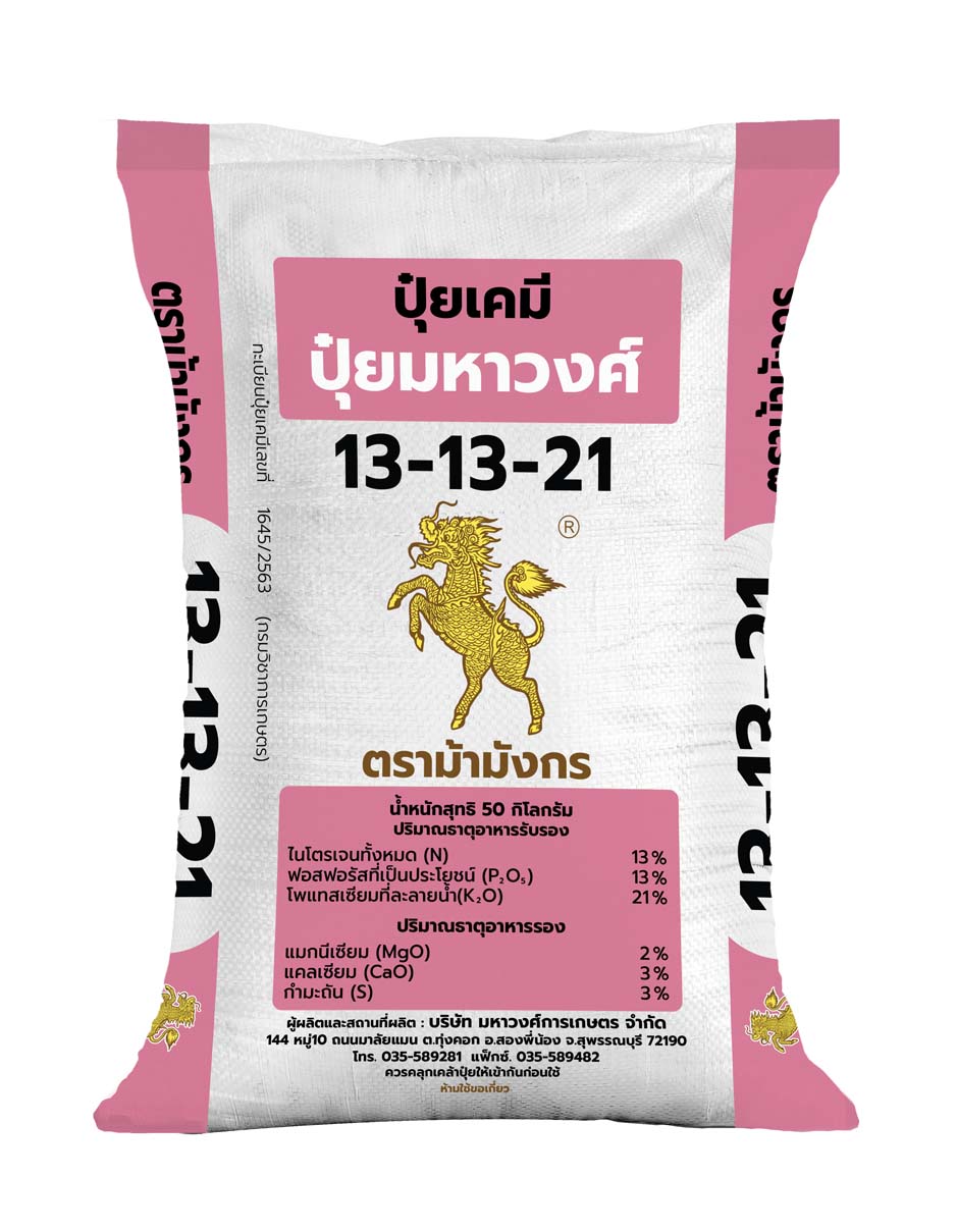 ม้ามังกร 13-13-21