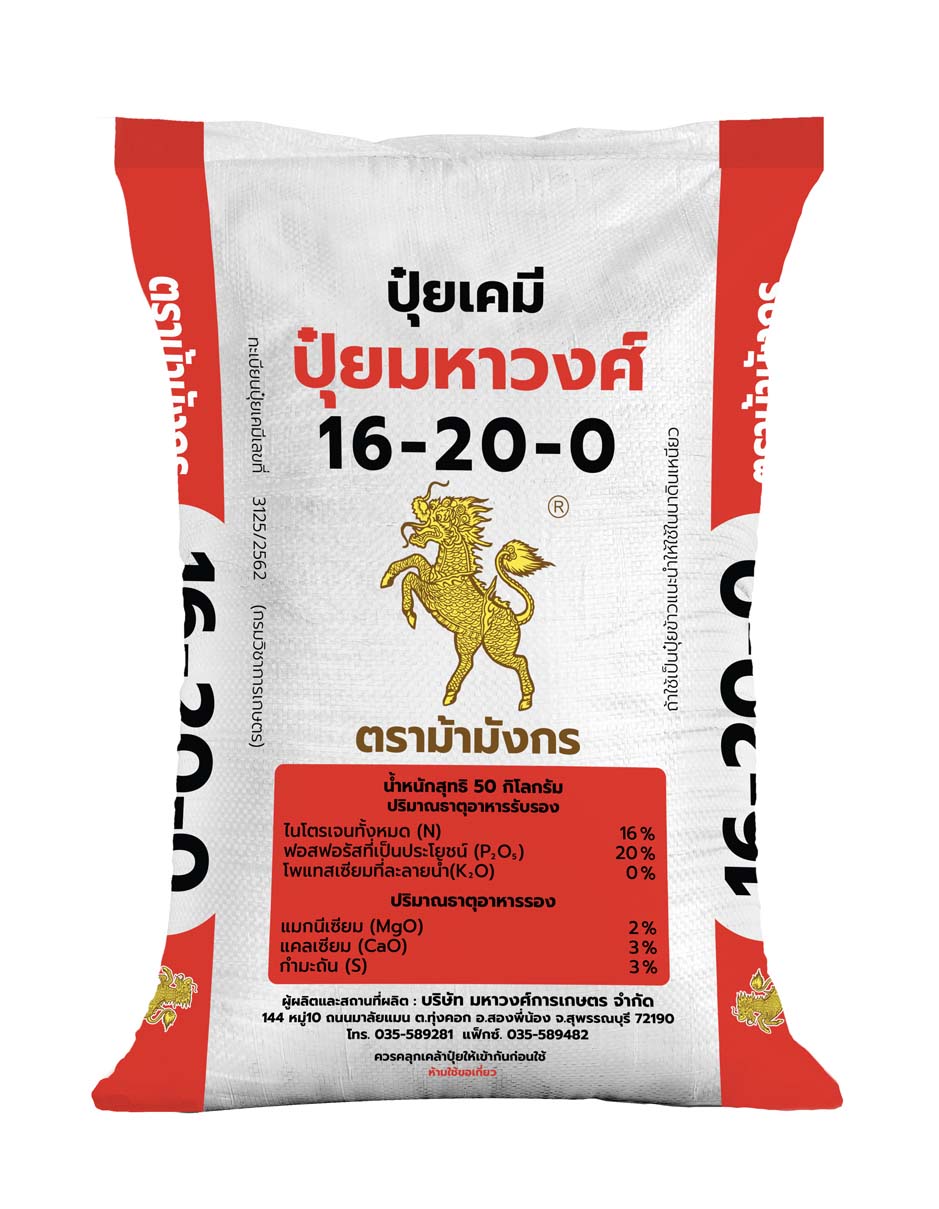 ม้ามังกร 16-20-0