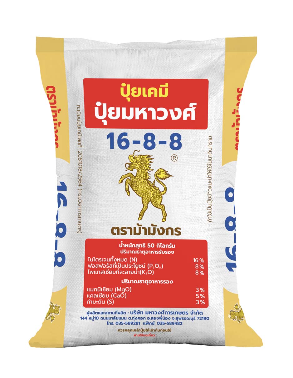 ม้ามังกร 16-8-8