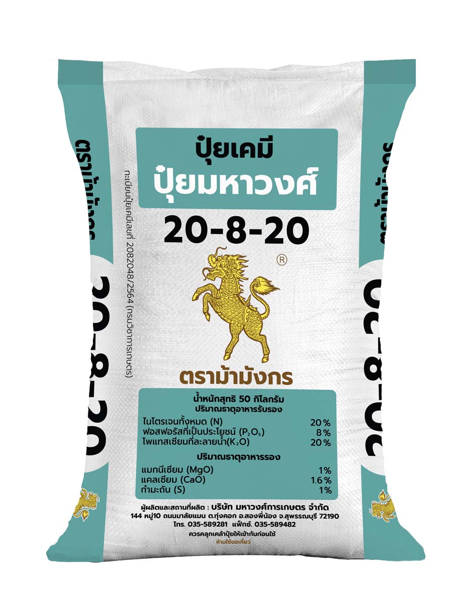 ม้ามังกร 20-8-20