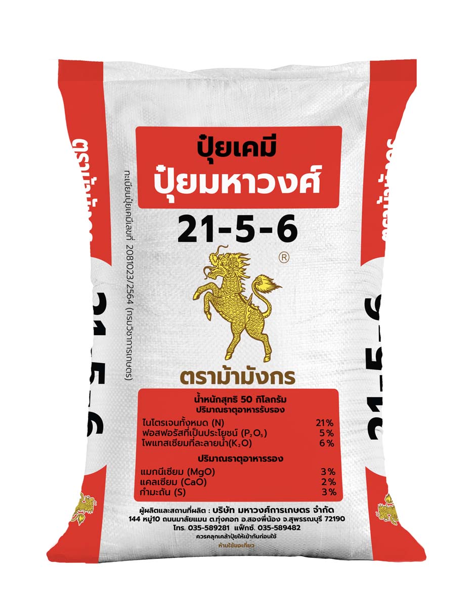 ม้ามังกร 21-5-6