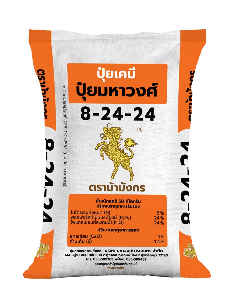 ม้ามังกร 8-24-24