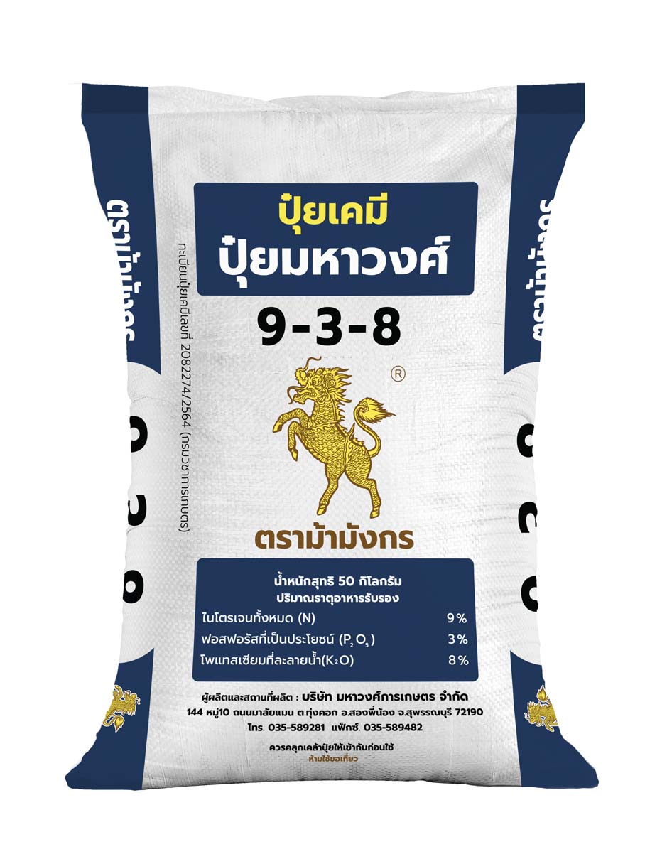 ม้ามังกร 9-3-8