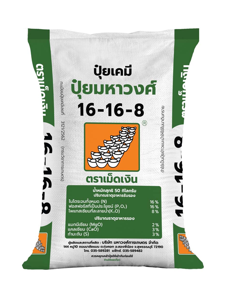 เม็ดเงิน 16-16-8