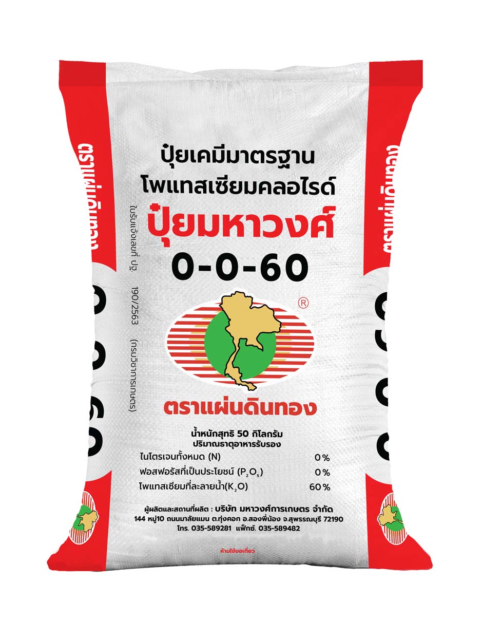 แผ่นดินทอง 0-0-60